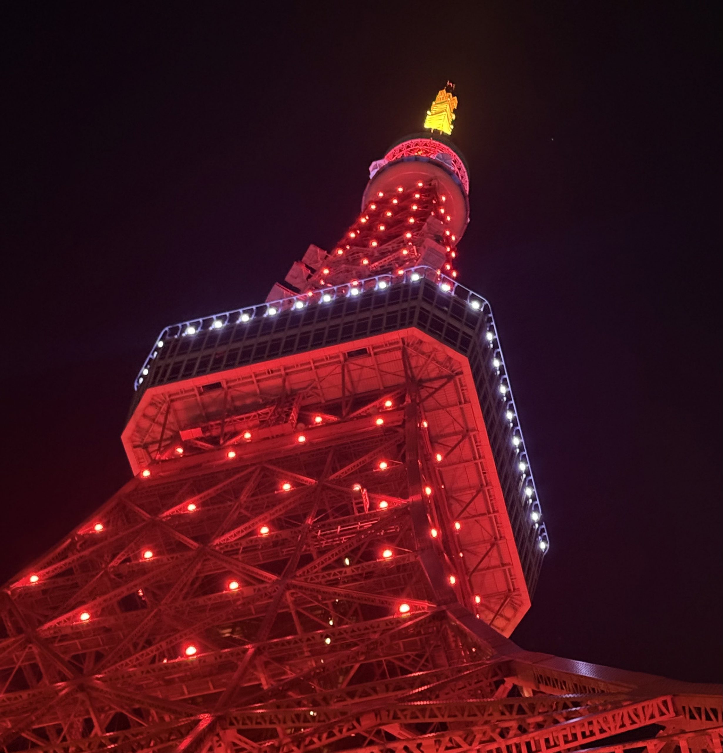 世界ポリオデー2026 in 東京タワー